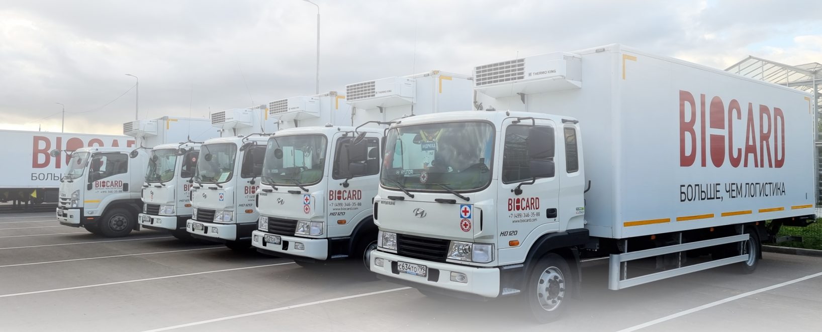 Рефрижераторный автопарк BIOCARD Hyundai с установками Thermo King